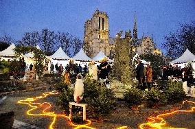 Illustration - Noel in Paris