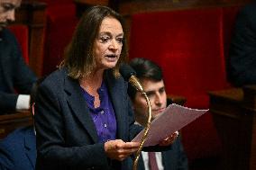 Questions to the government at the National Assembly in Paris FA