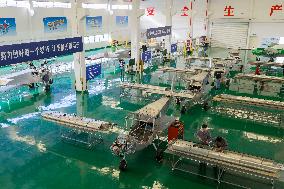 Light Sport Aircraft Manufacturing in Suqian