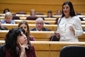 Government Faces Economic Questions in Senate - Madrid