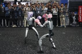 UNITREE Robot Fighting at IROS 2025