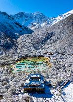 A Colorful Pond Cluster After Snow - China