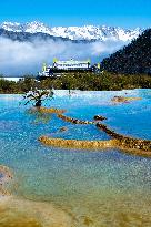 A Colorful Pond Cluster After Snow - China