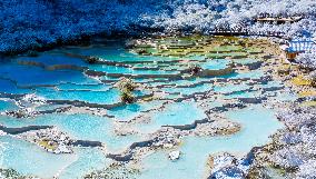 A Colorful Pond Cluster After Snow - China