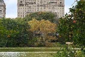 Illustration - New York City