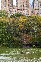 Illustration - New York City