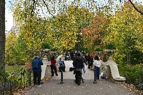 Illustration - New York City