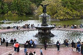 Illustration - New York City