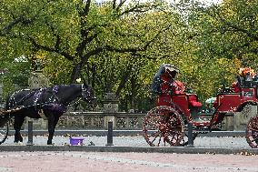 Illustration - New York City