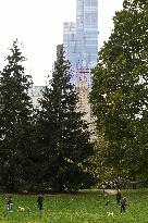 Illustration - New York City