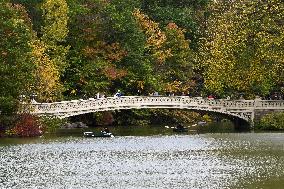 Illustration - New York City