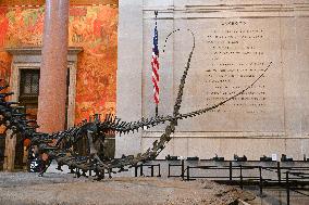 Illustration - New York City