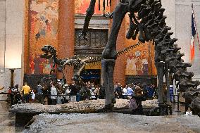 Illustration - New York City