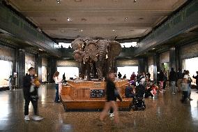 Illustration - New York City