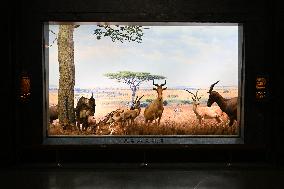 Illustration - New York City