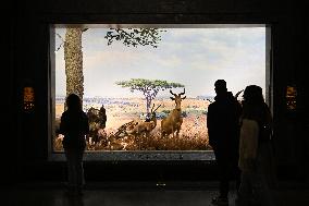 Illustration - New York City