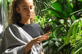 Illustration - New York City