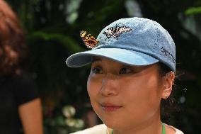 Illustration - New York City