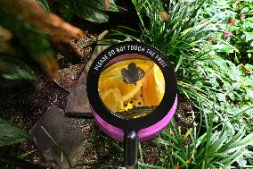 Illustration - New York City