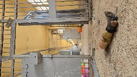 Sednaya Prison Where Thousands of Syrians Were Killed Under Torture - Syria