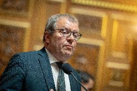 Session of questions to the government at The French Senate - Paris AJ