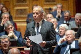 Session of questions to the government at The French Senate - Paris AJ