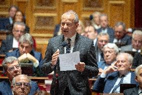 Session of questions to the government at The French Senate - Paris AJ