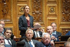 Session of questions to the government at The French Senate - Paris AJ