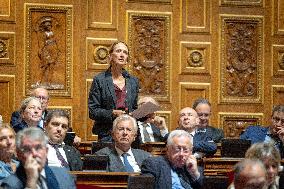 Session of questions to the government at The French Senate - Paris AJ
