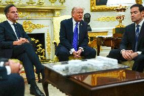 Trump Meets Rutte of NATO in the Oval Office