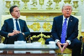 Trump Meets Rutte of NATO in the Oval Office
