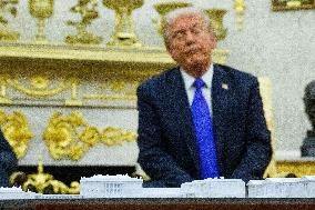 Trump Meets Rutte of NATO in the Oval Office