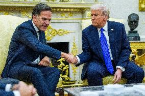 Trump Meets Rutte of NATO in the Oval Office