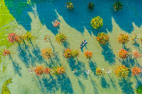 Water Fir Forest Crab Breeding Base in Suqian