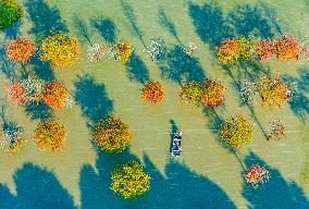 Water Fir Forest Crab Breeding Base in Suqian