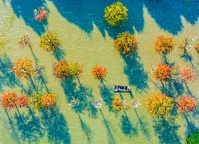 Water Fir Forest Crab Breeding Base in Suqian