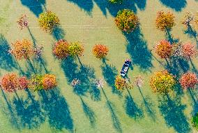 Water Fir Forest Crab Breeding Base in Suqian