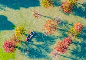 Water Fir Forest Crab Breeding Base in Suqian