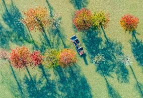 Water Fir Forest Crab Breeding Base in Suqian