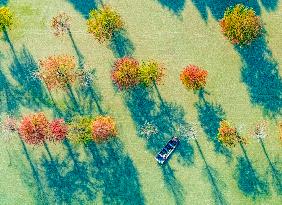 Water Fir Forest Crab Breeding Base in Suqian