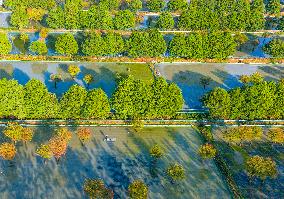 Water Fir Forest Crab Breeding Base in Suqian