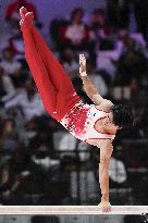 Artistic Gymnastics: World championships