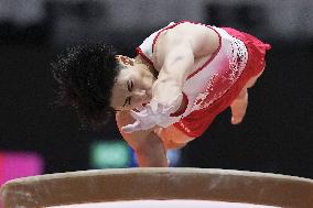 Artistic Gymnastics: World championships