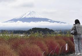 Snowcap on Japan's Mt. Fuji