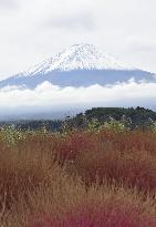Snowcap on Japan's Mt. Fuji