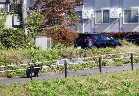 Bear shows up in urban area