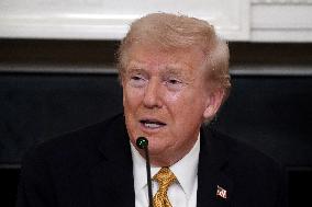 President Trump speaks at roundtable with Homeland Security Task Force