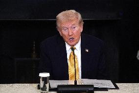 President Trump speaks at roundtable with Homeland Security Task Force