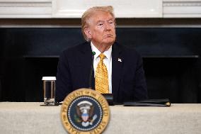 President Trump speaks at roundtable with Homeland Security Task Force