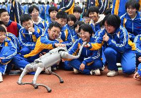 AI Popularization in Schools